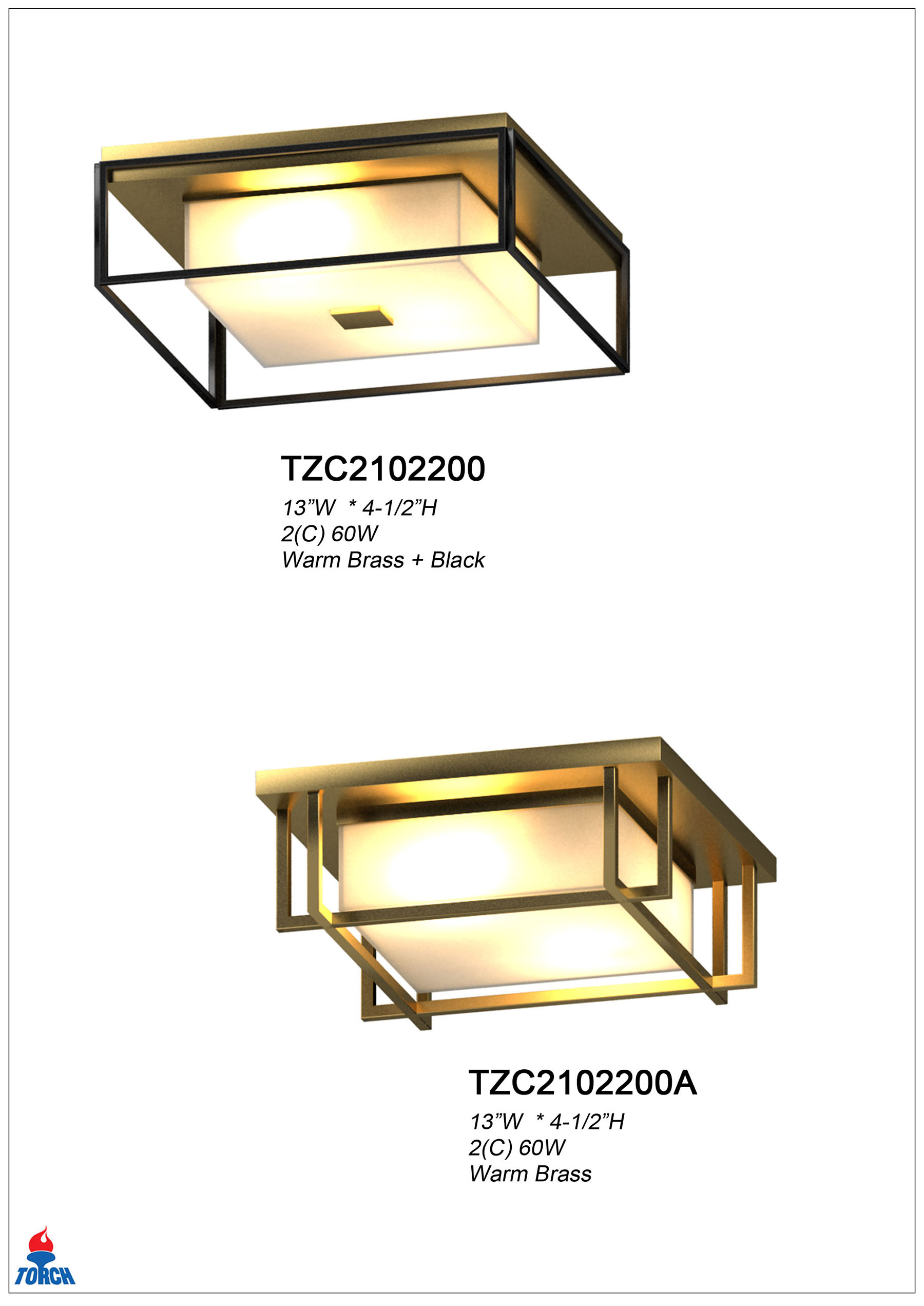 TZC2102200